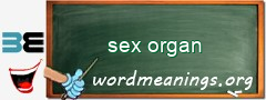 WordMeaning blackboard for sex organ
